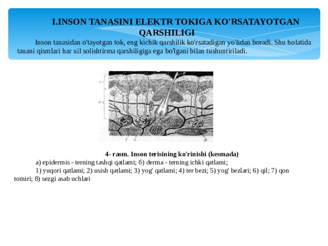 INSON TANASINI ELEKTR TOKIGA KO'RSATAYOTGAN QARSHILIGI Inson tanasidan o'tayotgan tok, eng kichik qarshilik ko'rsatadigan yo'lidan boradi. Shu holatida tanani qismlari har xil solishtirma qarshiligiga ega bo'lgani bilan tushuntiriladi. 4- rasm. Inson terisining ko'rinishi (kesmada) a) epidermis - terning tashqi qatlami; б ) derma - terning ichki qatlami; 1) yuqori qatlami; 2) usish qatlami; 3) yog' qatlami; 4) ter bezi; 5) yog' bezlari; 6) qil; 7) qon tomiri; 8) sezgi asab uchlari 