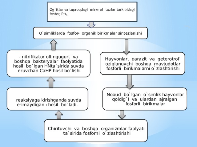  Og`itlar va tuproqdagi mineral tuzlar tarkibidagi fosfor, P O`simliklarda fosfor- organik birikmalar sintezlanishi O`simliklarda fosfor- organik birikmalar sintezlanishi - nitrifikator oltingugurt va boshqa bakteryalar faolyatida hosil bo`lgan HNta`sirida suvda eruvchan CaHP hosil bo`lishi - nitrifikator oltingugurt va boshqa bakteryalar faolyatida hosil bo`lgan HNta`sirida suvda eruvchan CaHP hosil bo`lishi Hayvonlar, parazit va geterotrof oziqlanuvchi boshqa mavjudotlar fosforli birikmalarni o`zlashtirishi Hayvonlar, parazit va geterotrof oziqlanuvchi boshqa mavjudotlar fosforli birikmalarni o`zlashtirishi Nobud bo`lgan o`simlik hayvonlar qoldig`I va ulardan ajralgan fosforli birikmalar Nobud bo`lgan o`simlik hayvonlar qoldig`I va ulardan ajralgan fosforli birikmalar  reaksiyaga kirishganda suvda erimaydigan 2 hosil bo`ladi.  reaksiyaga kirishganda suvda erimaydigan 2 hosil bo`ladi. Chirituvchi va boshqa organizmlar faolyati ta`sirida fosforni o`zlashtirishi Chirituvchi va boshqa organizmlar faolyati ta`sirida fosforni o`zlashtirishi 