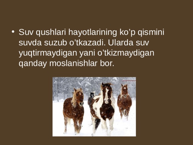 Suv qushlari hayotlarining ko’p qismini suvda suzub o’tkazadi. Ularda suv yuqtirmaydigan yani o’tkizmaydigan qanday moslanishlar bor.  