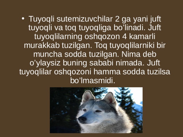 Tuyoqli sutemizuvchilar 2 ga yani juft tuyoqli va toq tuyoqliga bo’linadi. Juft tuyoqlilarning oshqozon 4 kamarli murakkab tuzilgan. Toq tuyoqlilarniki bir muncha sodda tuzilgan. Nima deb o’ylaysiz buning sababi nimada. Juft tuyoqlilar oshqozoni hamma sodda tuzilsa bo’lmasmidi.  
