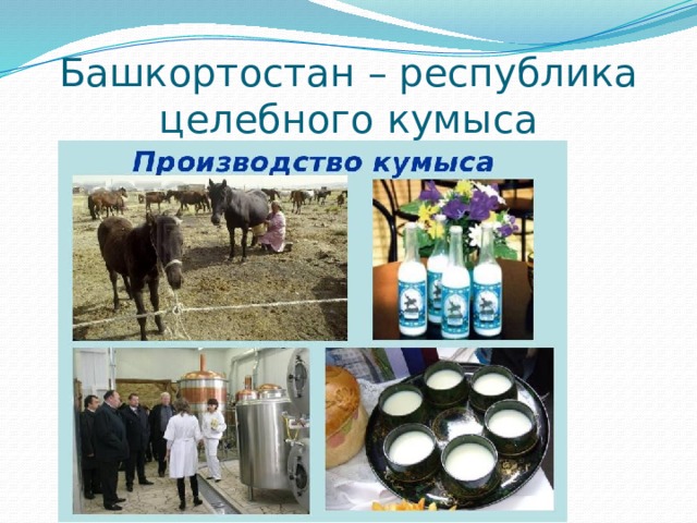 Башкортостан – республика целебного кумыса 