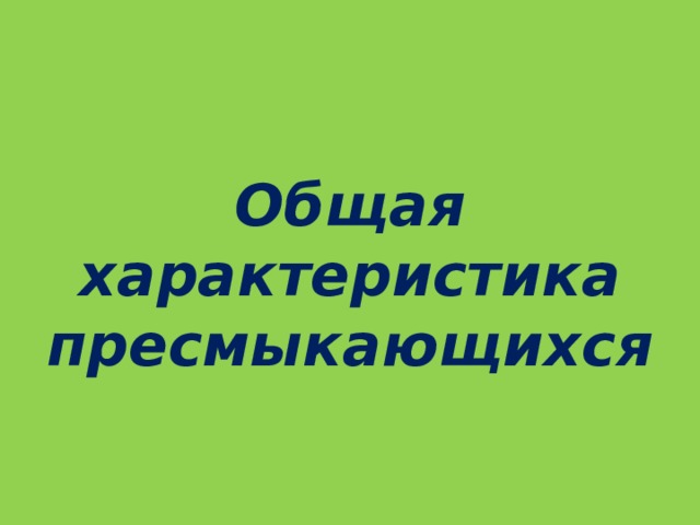   Общая характеристика пресмыкающихся 