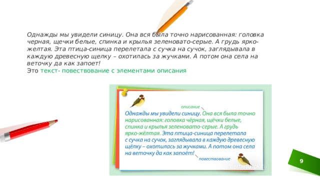 Однажды мы увидели синицу. Она вся была точно нарисованная: головка черная, щечки белые, спинка и крылья зеленовато-серые. А грудь ярко-желтая. Эта птица-синица перелетала с сучка на сучок, заглядывала в каждую древесную щелку – охотилась за жучками. А потом она села на веточку да как запоет! Это текст- повествование с элементами описания   1 