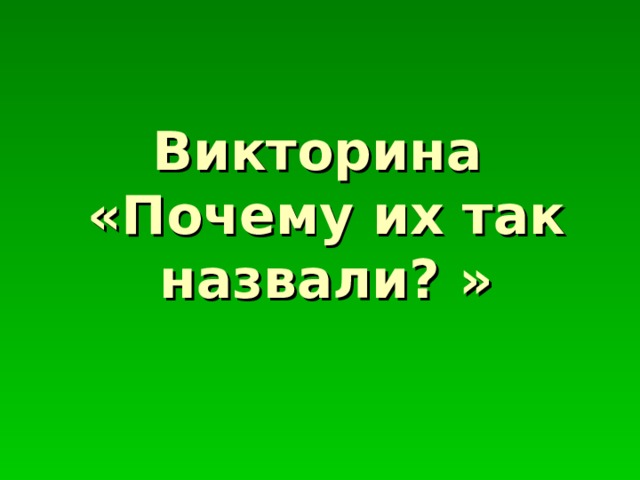 Викторина  «Почему их так назвали? » 