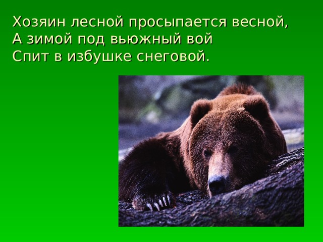 Хозяин лесной просыпается весной,  А зимой под вьюжный вой  Спит в избушке снеговой.   