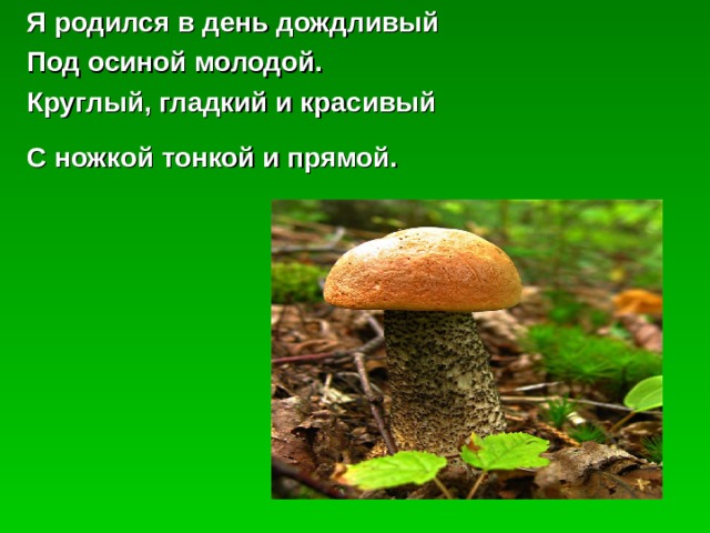 Я родился в день дождливый Под осиной молодой. Круглый, гладкий и красивый С ножкой тонкой и прямой.  