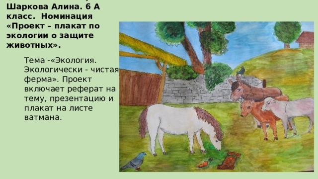 Соболева Ксения, Шаркова Алина. 6 А класс. Номинация «Проект – плакат по экологии о защите животных». Тема -«Экология. Экологически - чистая ферма». Проект включает реферат на тему, презентацию и плакат на листе ватмана. 