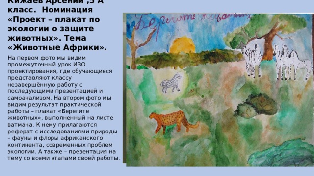 Хруленко София, Кижаев Арсений ,5 А класс. Номинация «Проект – плакат по экологии о защите животных». Тема «Животные Африки». На первом фото мы видим промежуточный урок ИЗО проектирования, где обучающиеся представляют классу незавершённую работу с последующими презентацией и самоанализом. На втором фото мы видим результат практической работы – плакат «Берегите животных», выполненный на листе ватмана. К нему прилагаются реферат с исследованиями природы – фауны и флоры африканского континента, современных проблем экологии. А также – презентация на тему со всеми этапами своей работы . 