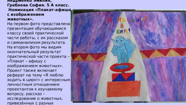 Андриенко Эмилия, Гребнева София. 5 А класс. Номинация «Плакат-афиша с изображением животных». На первом фото представлена презентация обучающимися классу своей практической части работы, с их рассказом и самоанализом результата. На втором фото мы видим окончательный результат практической части проекта – «Плакат – афишу с изображением животных». Проект также включает реферат на тему «Я люблю ходить в цирк!» с интересным личностным отношением проектантов к изучаемому вопросу, рассказ – исследование о животных, привезённых с разных континентов, о правилах и особенностях уходе за ними в условиях неволи». В конце исследования они приводят собственные выводы. Проект включает презентацию со всеми этапами работы над проектом . 