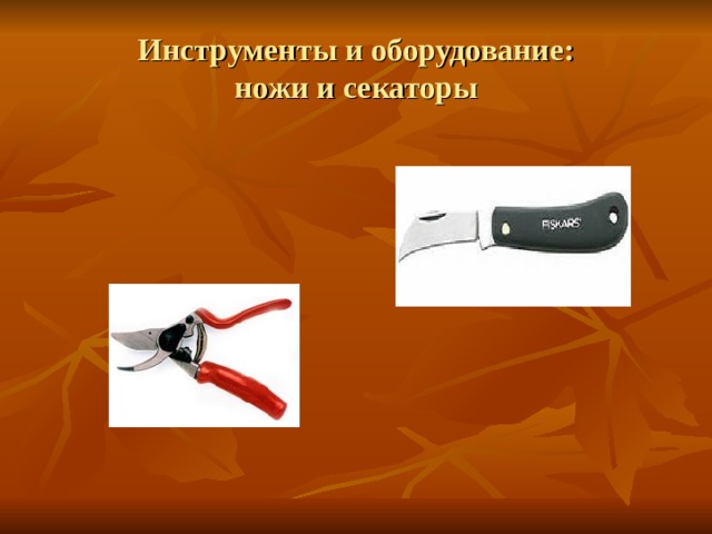 Инструменты и оборудование:  ножи и секаторы 