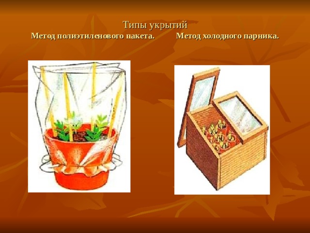 Типы укрытий  Метод полиэтиленового пакета. Метод холодного парника. 
