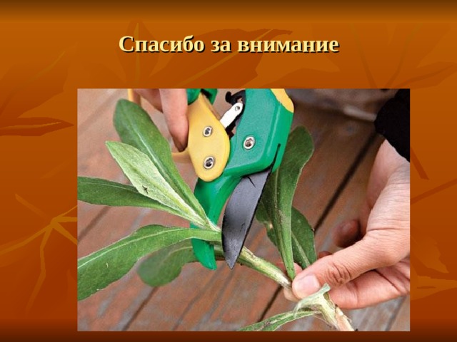Спасибо за внимание 