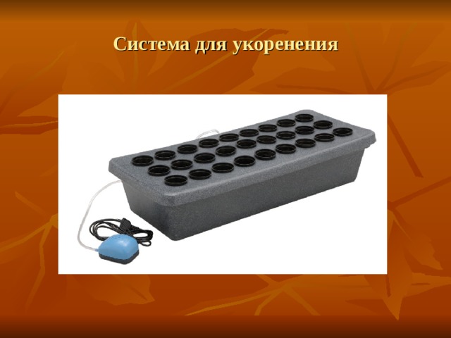 Система для укоренения 