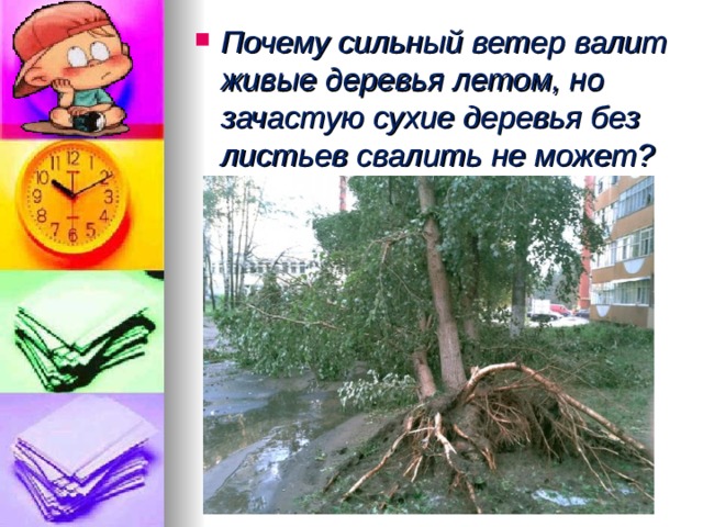 Почему сильный ветер валит живые деревья летом, но зачастую сухие деревья без листьев свалить не может?  