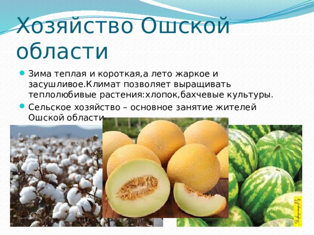 Хозяйство Ошской области Зима теплая и короткая,а лето жаркое и засушливое.Климат позволяет выращивать теплолюбивые растения:хлопок,бахчевые культуры. Сельское хозяйство – основное занятие жителей Ошской области. 