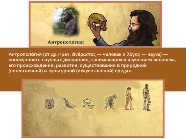 Антрополо́гия (от др.-греч. ἄνθρωπος — человек и λόγος — наука) — совокупность научных дисциплин, занимающихся изучением человека, его происхождения, развития, существования в природной (естественной) и культурной (искусственной) средах. 