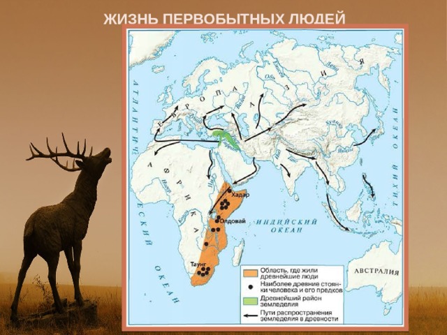 ЖИЗНЬ ПЕРВОБЫТНЫХ ЛЮДЕЙ 