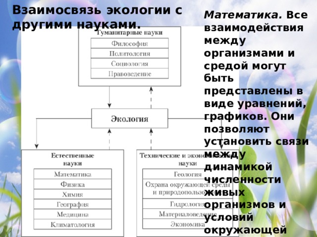 Взаимосвязь экологии с другими науками. Математика.  Все взаимодействия между организмами и средой могут быть представлены в виде уравнений, графиков. Они позволяют установить связи между динамикой численности живых организмов и условий окружающей среды расчет нормативов сбросов и выбросов предприятий и управления качеством окружающей среды. 