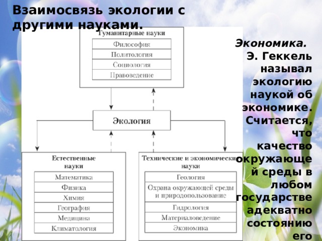 Взаимосвязь экологии с другими науками. Экономика.   Э. Геккель называл экологию наукой об экономике. Считается, что качество окружающей среды в любом государстве адекватно состоянию его экономики. 