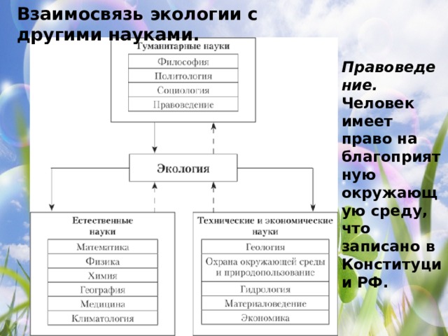 Взаимосвязь экологии с другими науками. Правоведение. Человек имеет право на благоприятную окружающую среду, что записано в Конституции РФ. 