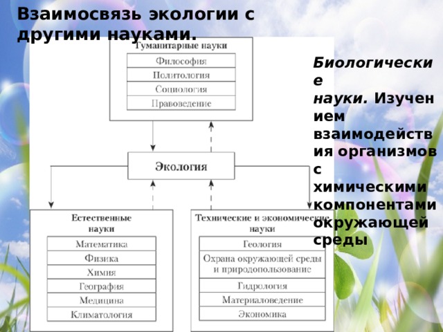 Взаимосвязь экологии с другими науками. Биологические науки.  Изучением взаимодействия организмов с химическими компонентами окружающей среды 