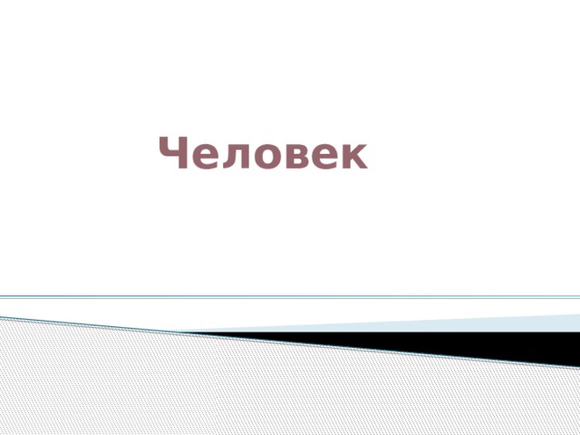   Человек 