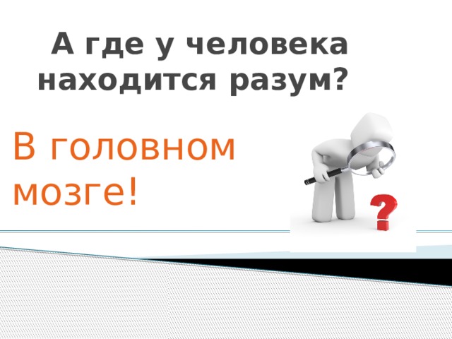 А где у человека находится разум? В головном мозге! 