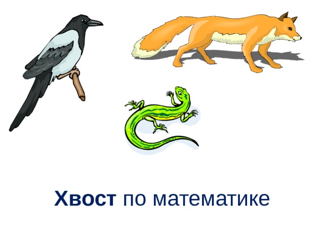 Хвост по математике 