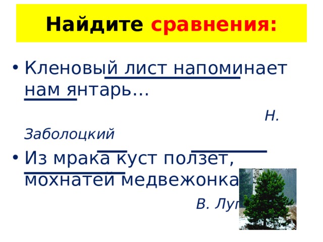 Найдите сравнения: Кленовый лист напоминает нам янтарь…   Н. Заболоцкий Из мрака куст ползёт, мохнатей медвежонка…  В. Луговской 
