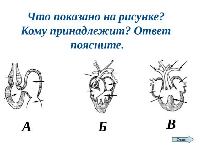 Что показано на рисунке? Кому принадлежит? Ответ поясните. В А Б Ответ 