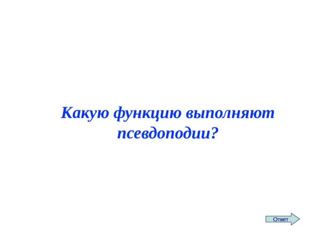 Какую функцию выполняют псевдоподии? Ответ 