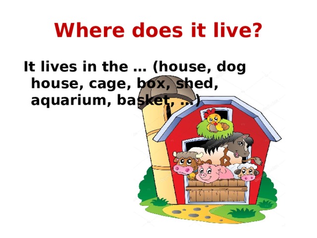 Where does it live?  It lives in the … (house, dog house, cage, box, shed, aquarium, basket, …) 
