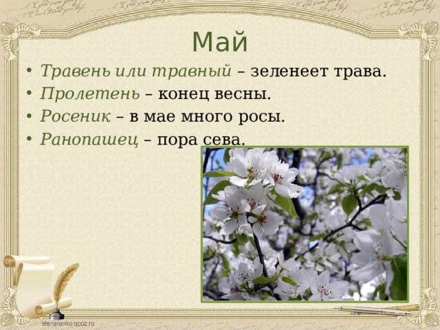 Май Травень или травный – зеленеет трава. Пролетень  – конец весны. Росеник – в мае много росы. Ранопашец  – пора сева. 