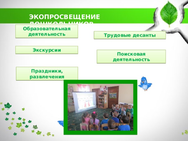 ЭКОПРОСВЕЩЕНИЕ ДОШКОЛЬНИКОВ Образовательная деятельность Трудовые десанты Экскурсии Поисковая деятельность Праздники, развлечения 