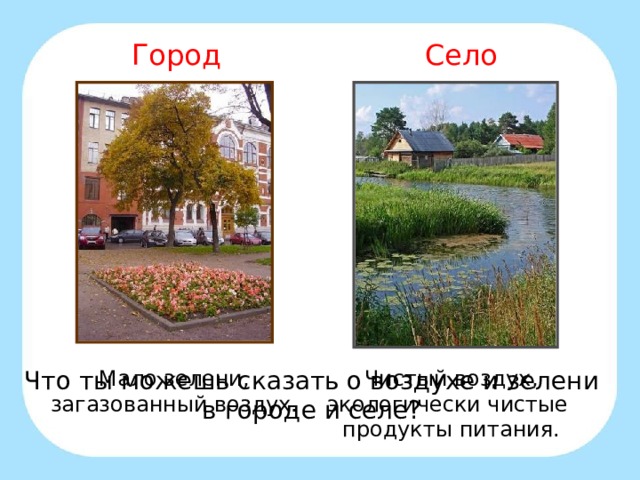 Город Село Мало зелени, загазованный воздух. Чистый воздух, экологически чистые продукты питания. Что ты можешь сказать о воздухе и зелени в городе и селе? 