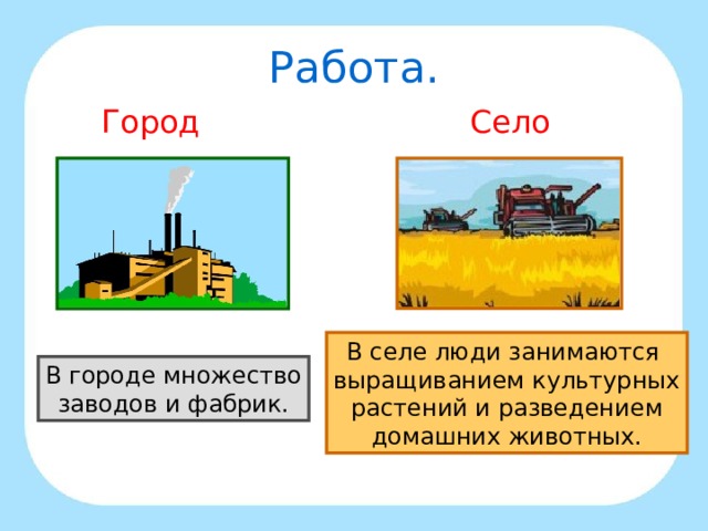 Работа. Город Село В селе люди занимаются выращиванием культурных растений и разведением домашних животных. В городе множество заводов и фабрик. 