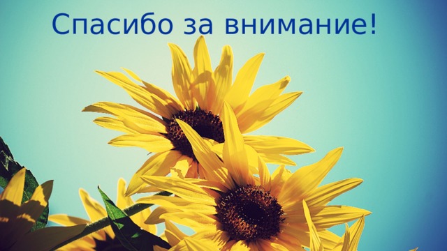 Спасибо за внимание! 