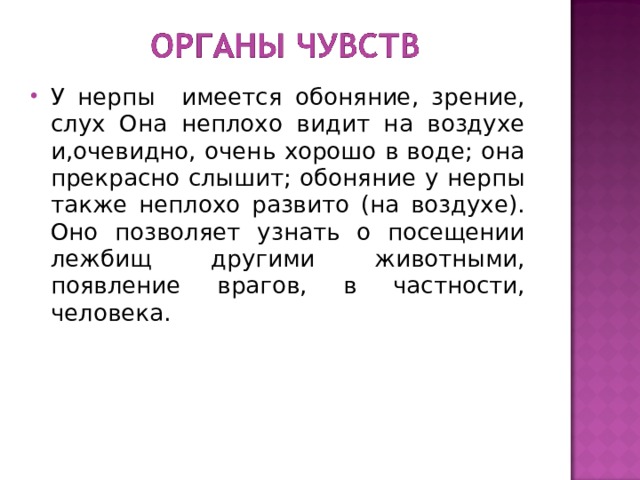 У нерпы имеется обоняние, зрение, слух Она неплохо видит на воздухе и,очевидно, очень хорошо в воде; она прекрасно слышит; обоняние у нерпы также неплохо развито (на воздухе). Оно позволяет узнать о посещении лежбищ другими животными, появление врагов, в частности, человека. 