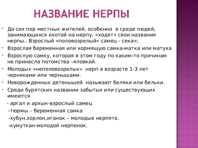 До сих пор местных жителей, особенно в среде людей, занимающихся охотой на нерпу, «ходят» свои названия нерпы.. Взрослый «половозрелый» самец - секач; Взрослая беременная или кормящую самка-матка или матуха Взрослую самку, которая в этом году по каким-то причинам не принесла потомства –яловкой. Молодых «неполовозрелых» нерп в возрасте 1-3 лет черняками или чернышами. Новорожденных детенышей называют беляки или бельки. Среди бурятских названии забытых или существующих имеются  - аргал и архын-взрослый самец  -тюрмы – беременная самка  -хубун,хорлон,иганок – молодые нерпята.  -кумуткан-молодой нерпенок. 