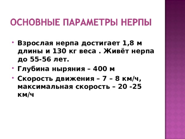 Взрослая нерпа достигает 1,8 м длины и 130 кг веса . Живёт нерпа до 55-56 лет. Глубина ныряния – 400 м Скорость движения – 7 – 8 км/ч, максимальная скорость – 20 -25 км/ч  