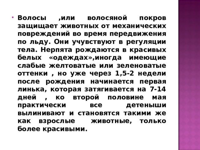 Волосы ,или волосяной покров защищает животных от механических повреждений во время передвижения по льду. Они учувствуют в регуляции тела. Нерпята рождаются в красивых белых «одеждах»,иногда имеющие слабые желтоватые или зеленоватые оттенки , но уже через 1,5-2 недели после рождения начинается первая линька, которая затягивается на 7-14 дней , ко второй половине мая практически все детеныши вылинивают и становятся такими же как взрослые животные, только более красивыми. 