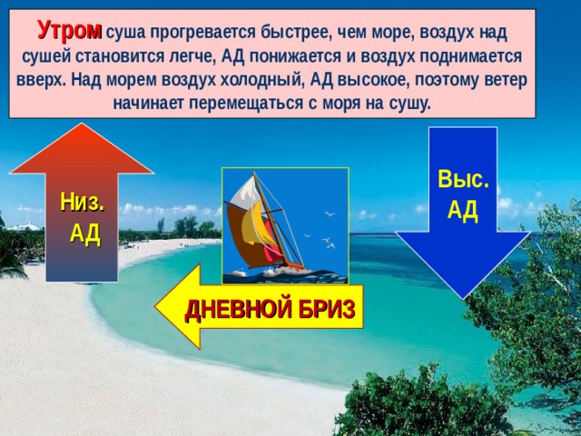 Утром суша прогревается быстрее, чем море, воздух над сушей становится легче, АД понижается и воздух поднимается вверх. Над морем воздух холодный, АД высокое, поэтому ветер начинает перемещаться с моря на сушу.  Низ.  АД  Выс. АД ДНЕВНОЙ БРИЗ 