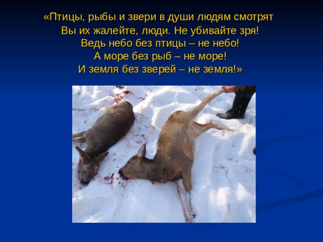  «Птицы, рыбы и звери в души людям смотрят  Вы их жалейте, люди. Не убивайте зря!  Ведь небо без птицы – не небо!  А море без рыб – не море!  И земля без зверей – не земля!» 