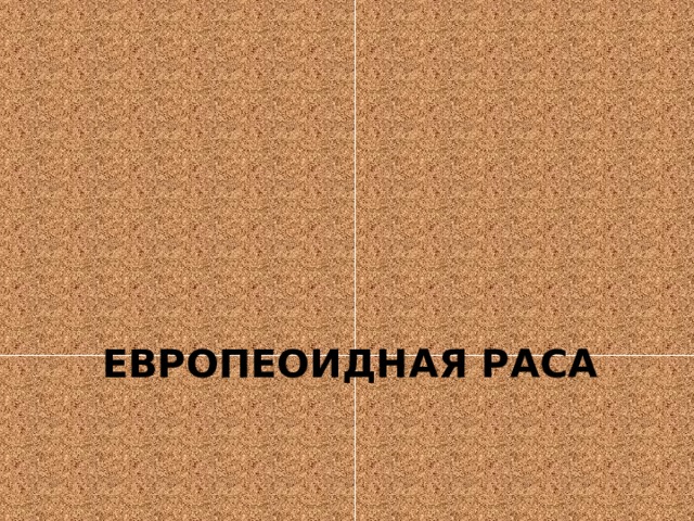 Европеоидная раса 