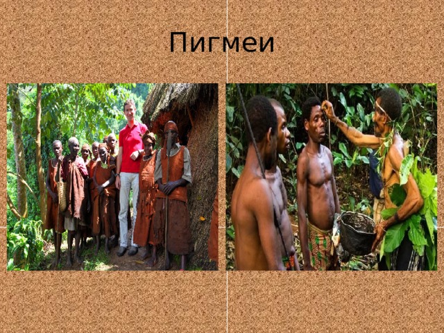 Пигмеи 