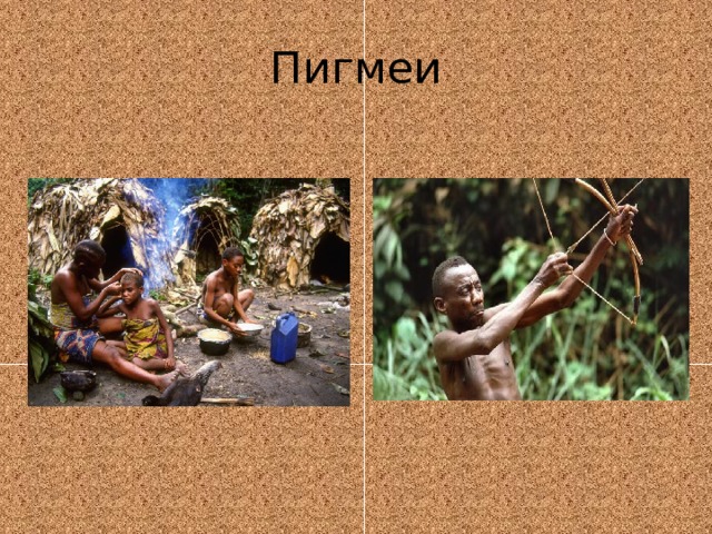 Пигмеи 