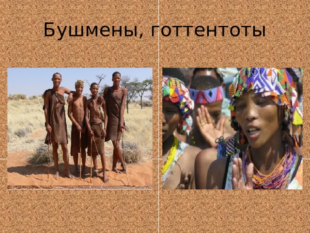 Бушмены, готтентоты 