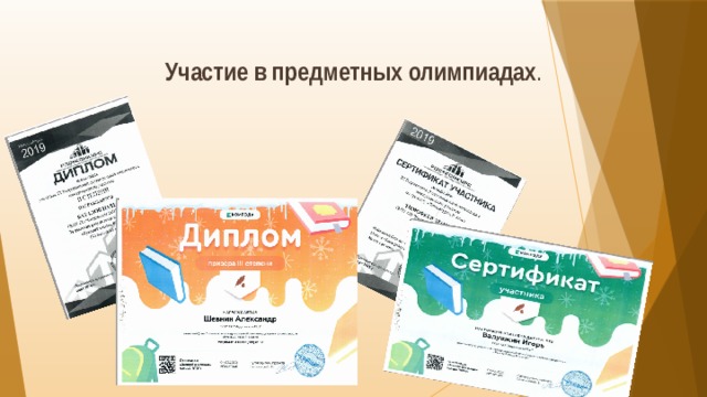 Участие в предметных олимпиадах . 