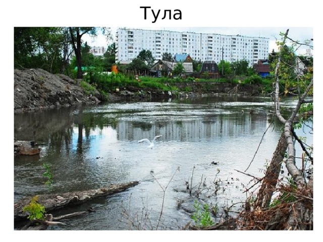 Тула 
