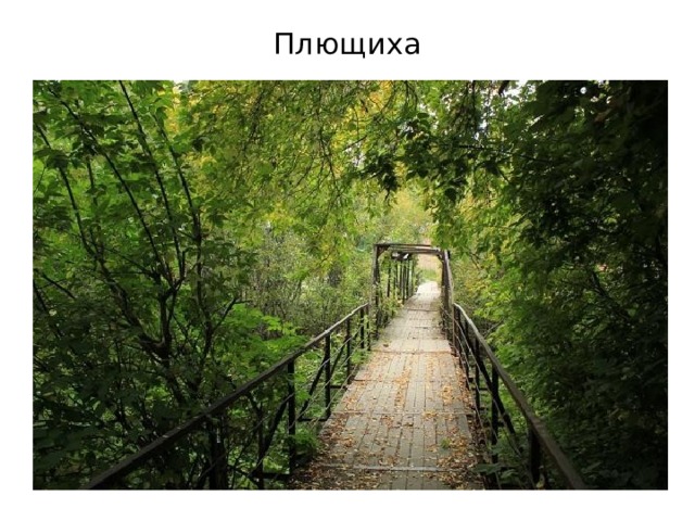 Плющиха 